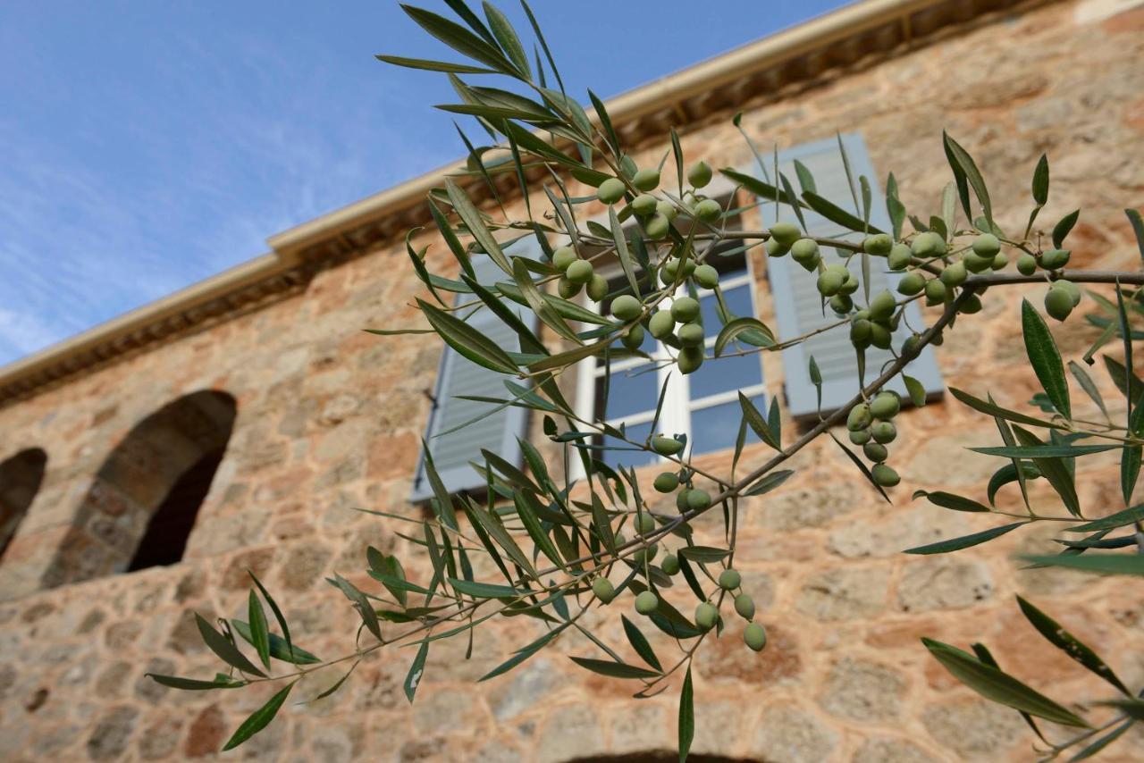 Bed and Breakfast Patrick & Joan Leigh Fermor House Kardamyli Exteriér fotografie