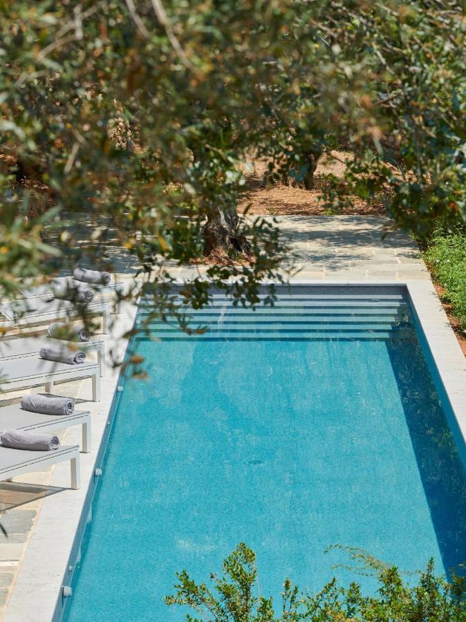 Bed and Breakfast Patrick & Joan Leigh Fermor House Kardamyli Exteriér fotografie